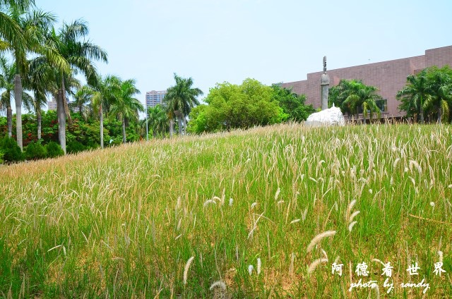 高雄美術館D7 055.JPG 高雄美術館D7 055.JPG
