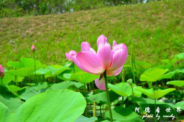 高雄美術館D7 046.JPG 高雄美術館D7 046.JPG