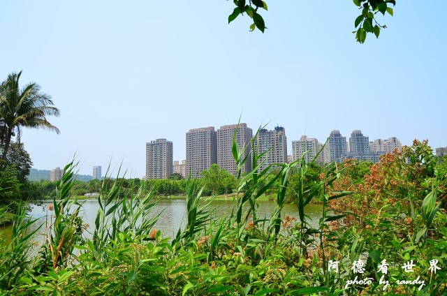 高雄美術館D7 063.JPG 高雄美術館D7 063.JPG