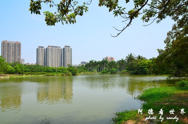 高雄美術館D7 091.JPG 高雄美術館D7 091.JPG