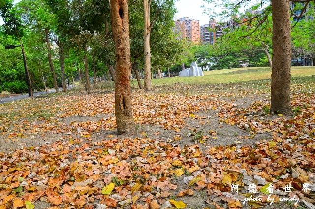 高雄美術館D7 126.JPG 高雄美術館D7 126.JPG