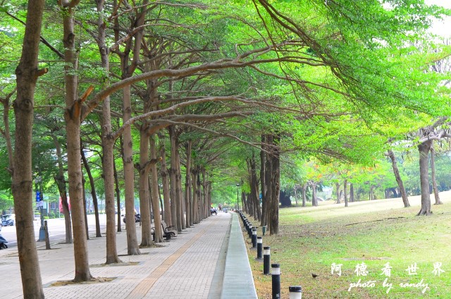 高雄美術館D7 133.JPG 高雄美術館D7 133.JPG