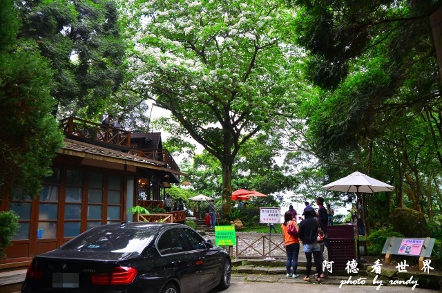 油桐花坊D7 105.JPG 油桐花坊D7 105.JPG