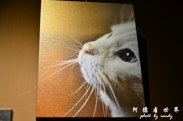 理想時光 047.JPG 理想時光 047.JPG