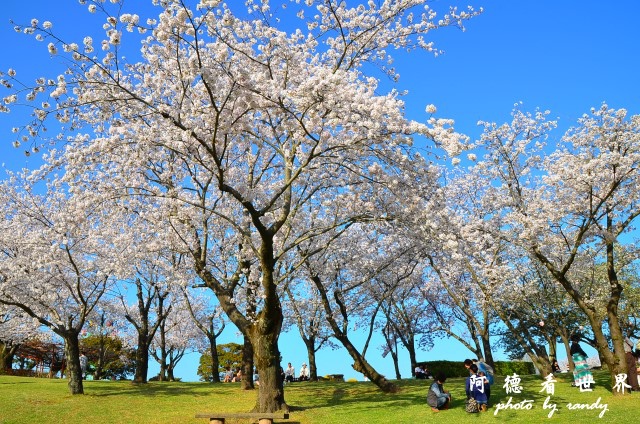 母智丘-國分D7 222.JPG