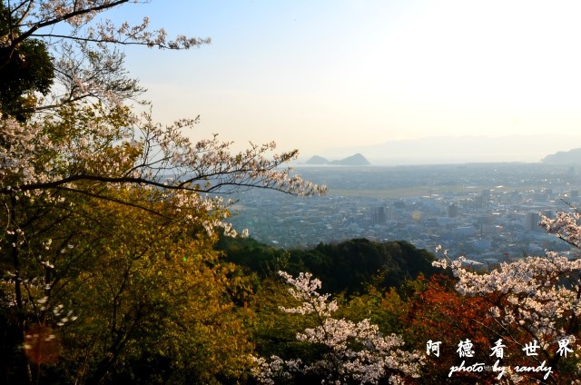 母智丘-國分D7 273.JPG 母智丘-國分D7 273.JPG