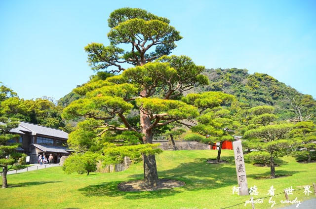 櫻島-鹿兒島D7 078.JPG