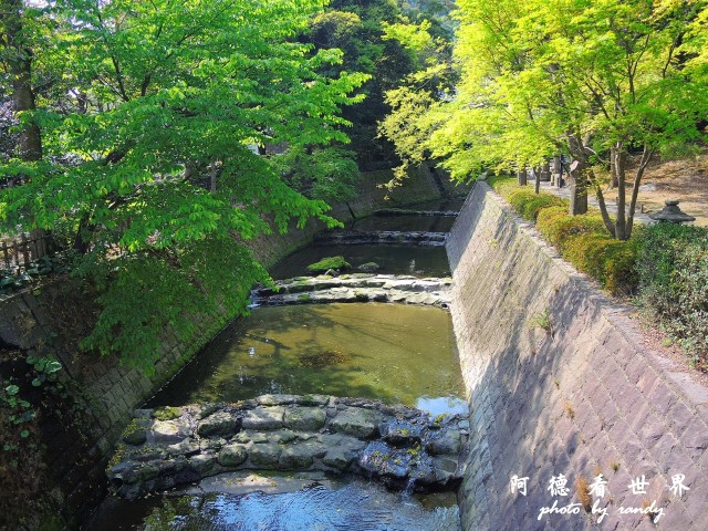 櫻島-鹿兒島P77 163.JPG