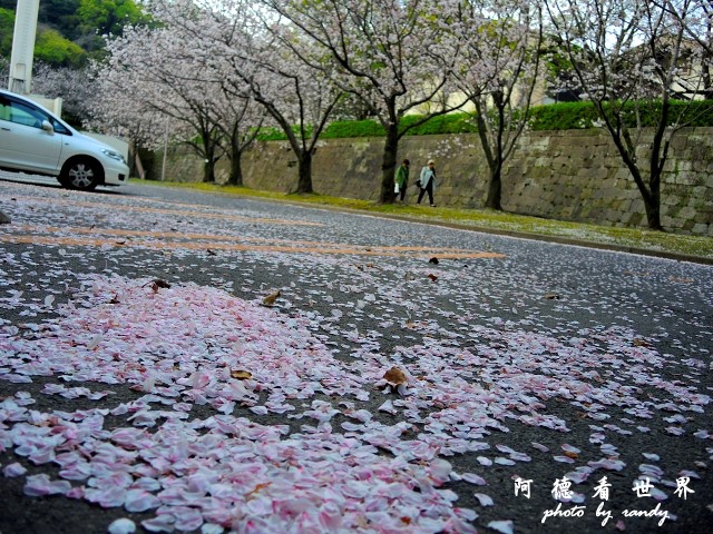 櫻島-鹿兒島P77 241.JPG