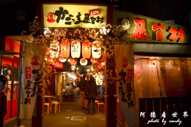 櫻島-鹿兒島D7 233.JPG 櫻島-鹿兒島D7 233.JPG