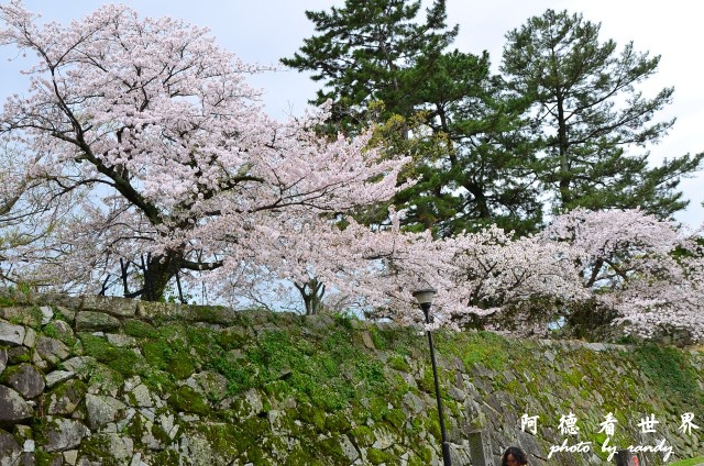 佐賀-嬉野D7 004.JPG