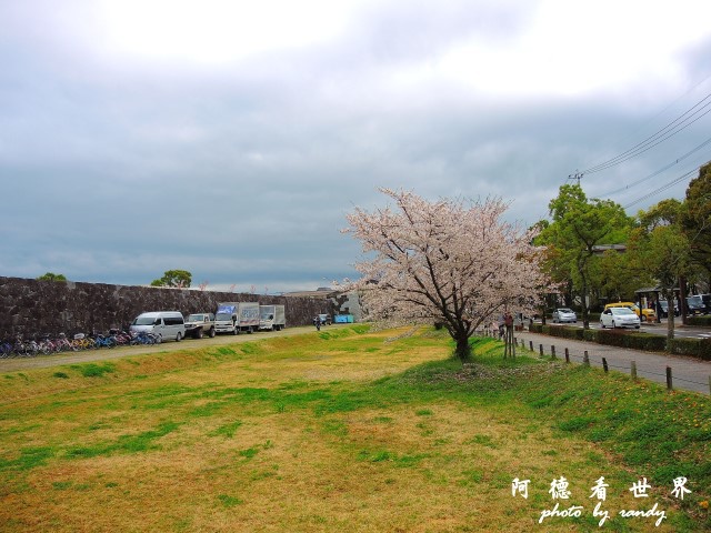 佐賀-嬉野P77 039.JPG