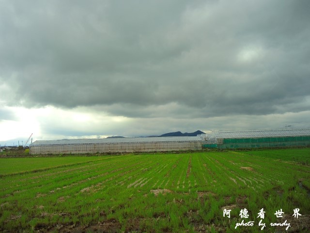 佐賀-嬉野P77 056.JPG