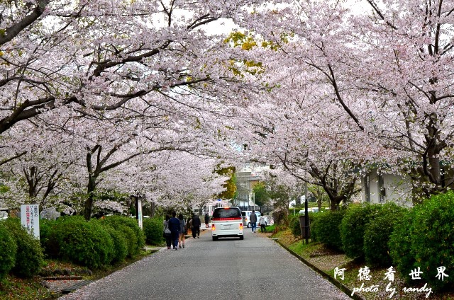 佐賀-嬉野D7 220.JPG 佐賀-嬉野D7 220.JPG