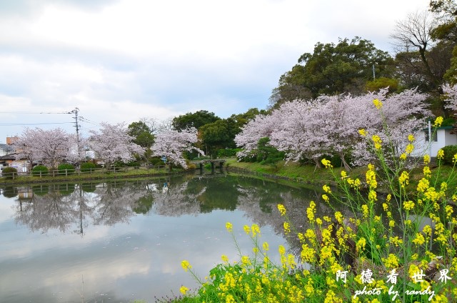 佐賀-嬉野D7 224.JPG 佐賀-嬉野D7 224.JPG
