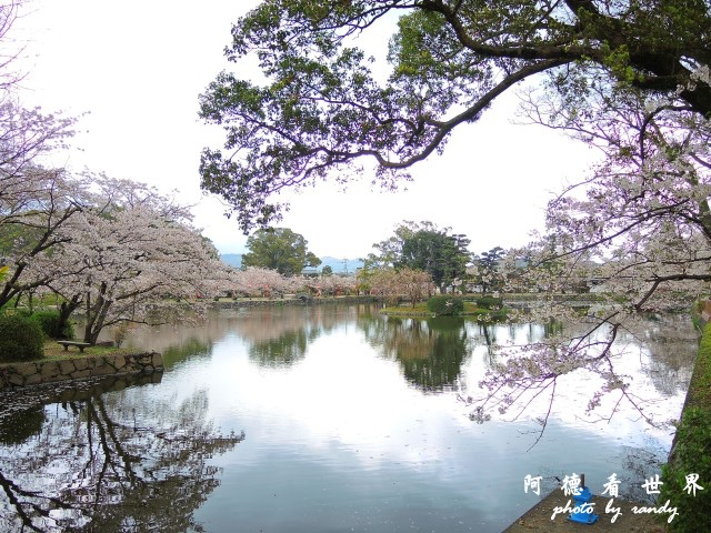 佐賀-嬉野P77 204.JPG