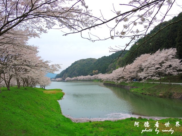 佐世保-呼子P77 088.JPG 佐世保-呼子P77 088.JPG