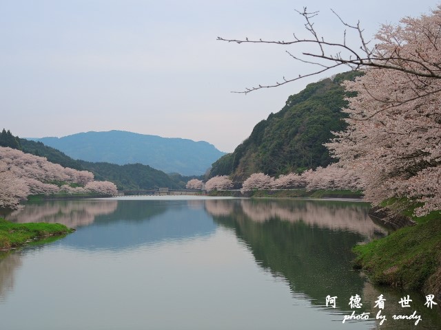 佐世保-呼子P77 123.JPG 佐世保-呼子P77 123.JPG