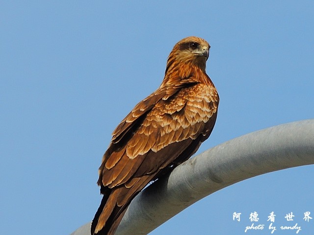 呼子-唐津-福岡P77 045.JPG