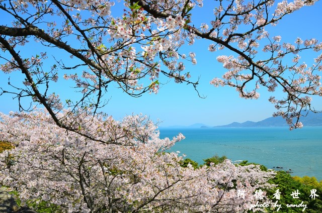 呼子-唐津-福岡D7 176.JPG