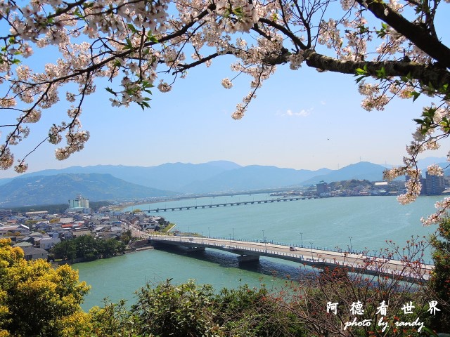 呼子-唐津-福岡P77 165.JPG