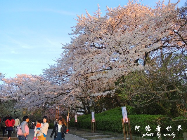 呼子-唐津-福岡P77 285.JPG