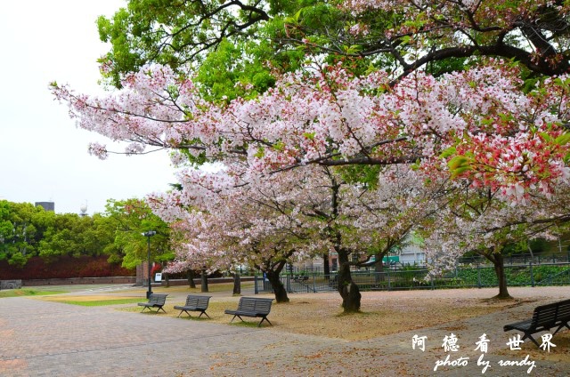 長崎-運河城D7 050.JPG