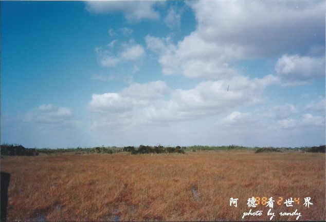everglade10.jpg everglade10.jpg