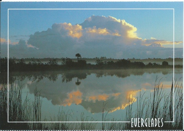 everglade15.jpg everglade15.jpg