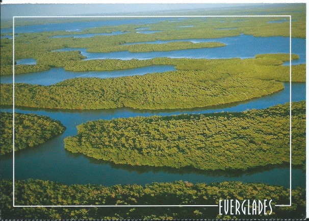 everglade16.jpg everglade16.jpg