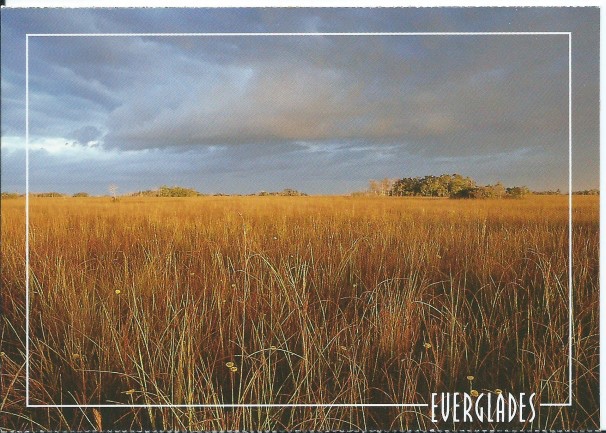 everglade17.jpg everglade17.jpg