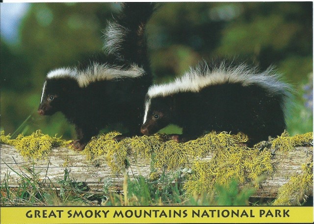 card4.jpg card4.jpg