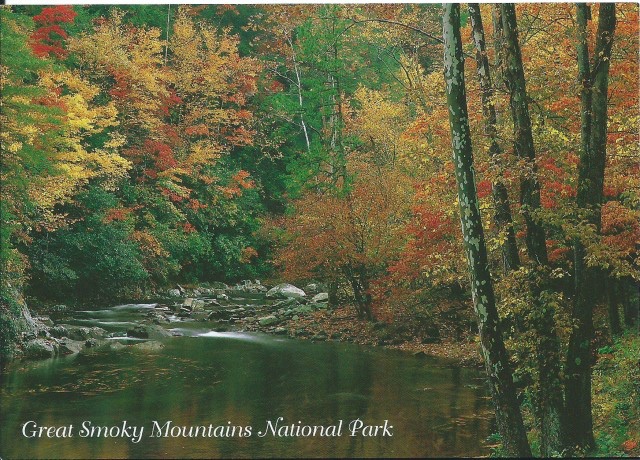card7.jpg card7.jpg