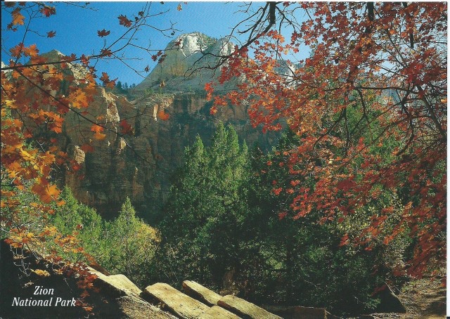 card4.jpg card4.jpg