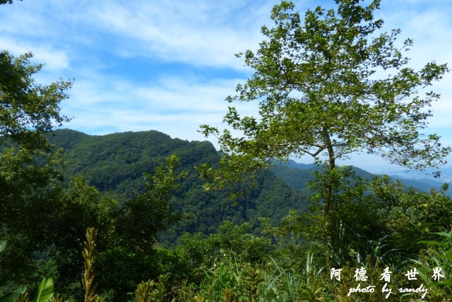 熊空茶園-三耕居FZ 056.JPG