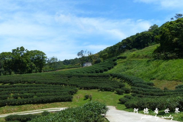 熊空茶園-三耕居FZ 073.JPG