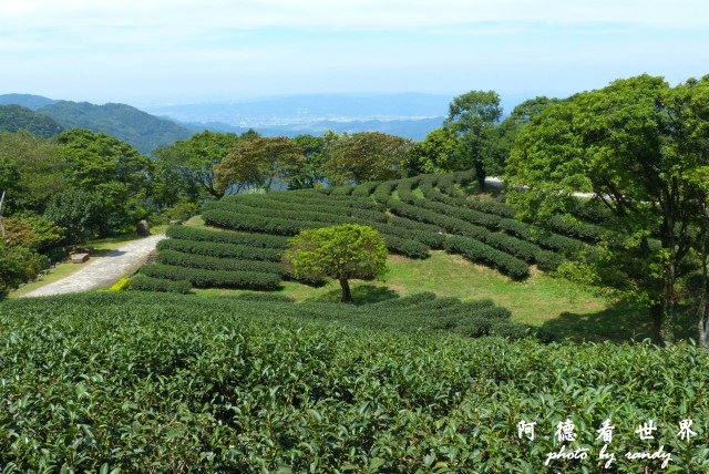 熊空茶園-三耕居FZ 074.JPG