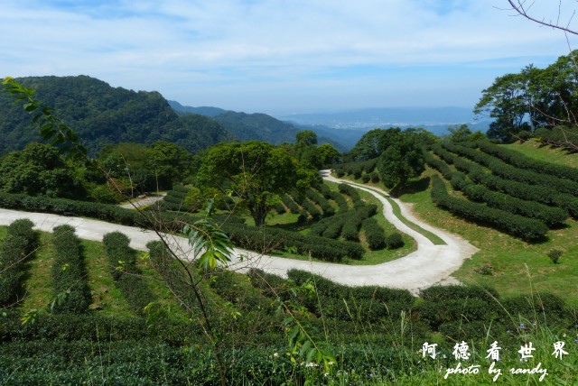 熊空茶園-三耕居FZ 076.JPG