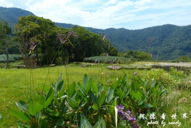 熊空茶園-三耕居FZ 093.JPG