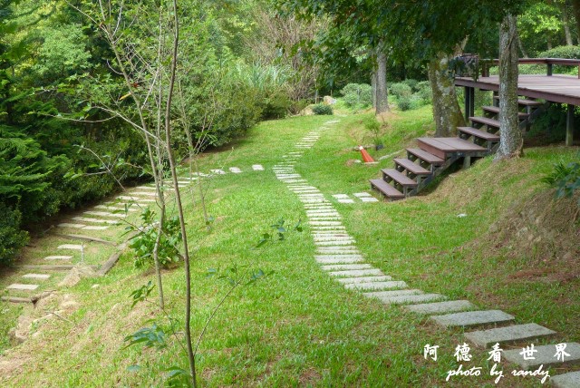 熊空茶園-三耕居FZ 117.JPG