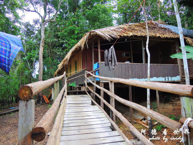 amazonP77 1207.JPG
