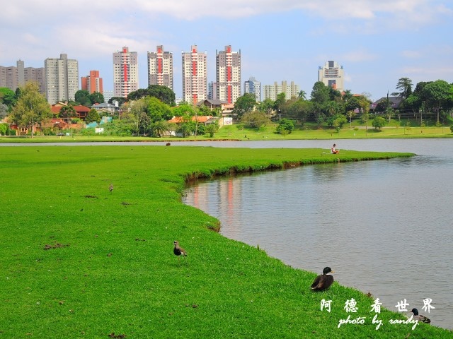 curitiba2P77 211.JPG