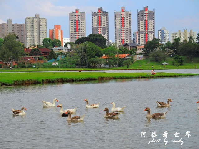 curitiba2P77 215.JPG