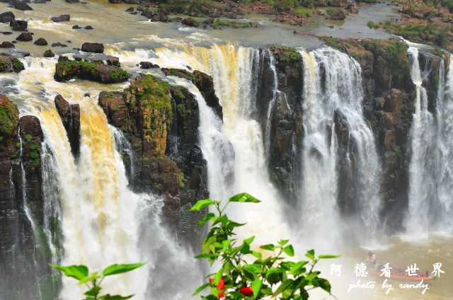 iguacu2D7 421.JPG