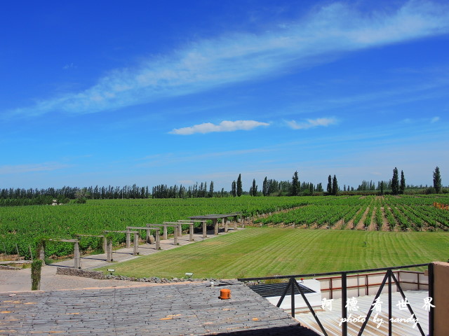 mendoza1P77 211.JPG