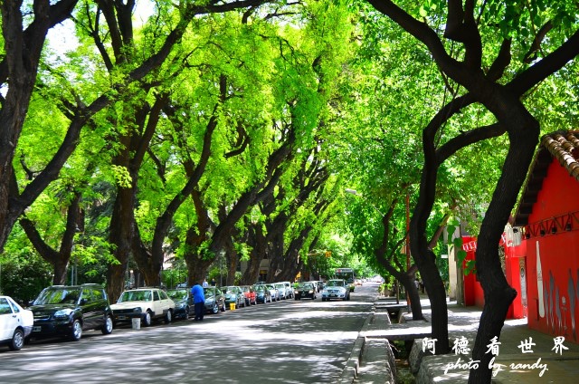 mendoza1D7 095.JPG