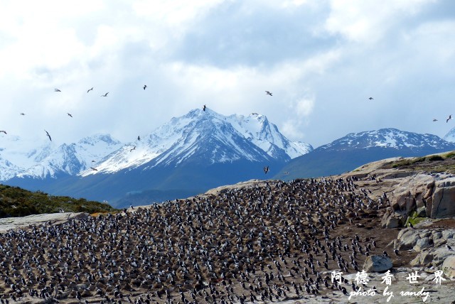 ushuaia3FZ (180).JPG