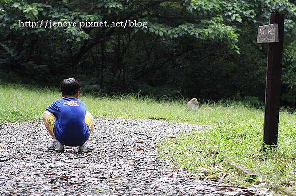 福山植物園980824