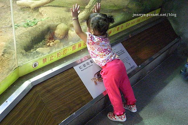 動物園991017 動物園991017