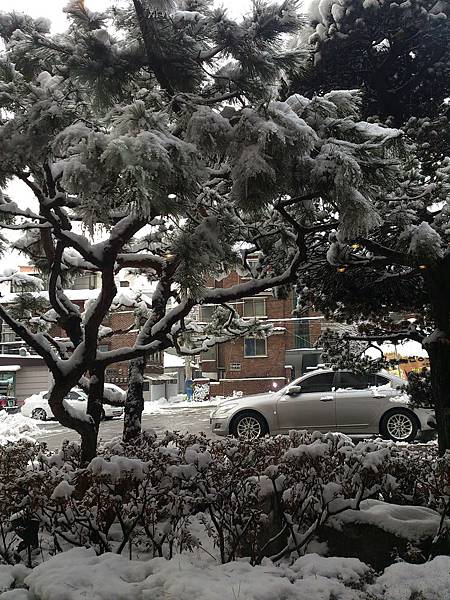 C360_2013-02-04-09-24-39_org